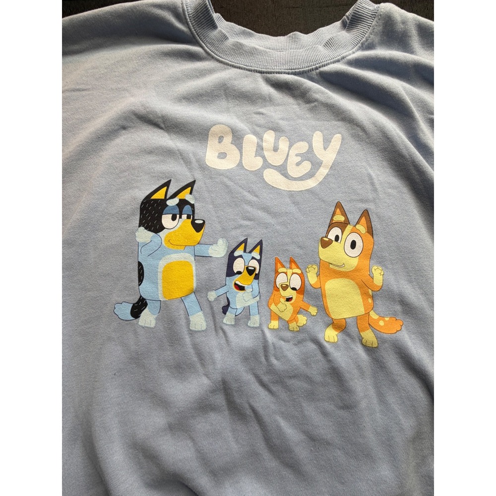 Bluey Heeler Family Graphic Sweatshirt Light Blue Crewneck Large LG 0093